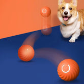 Smart Interactive Dog Bouncing Ball Toy